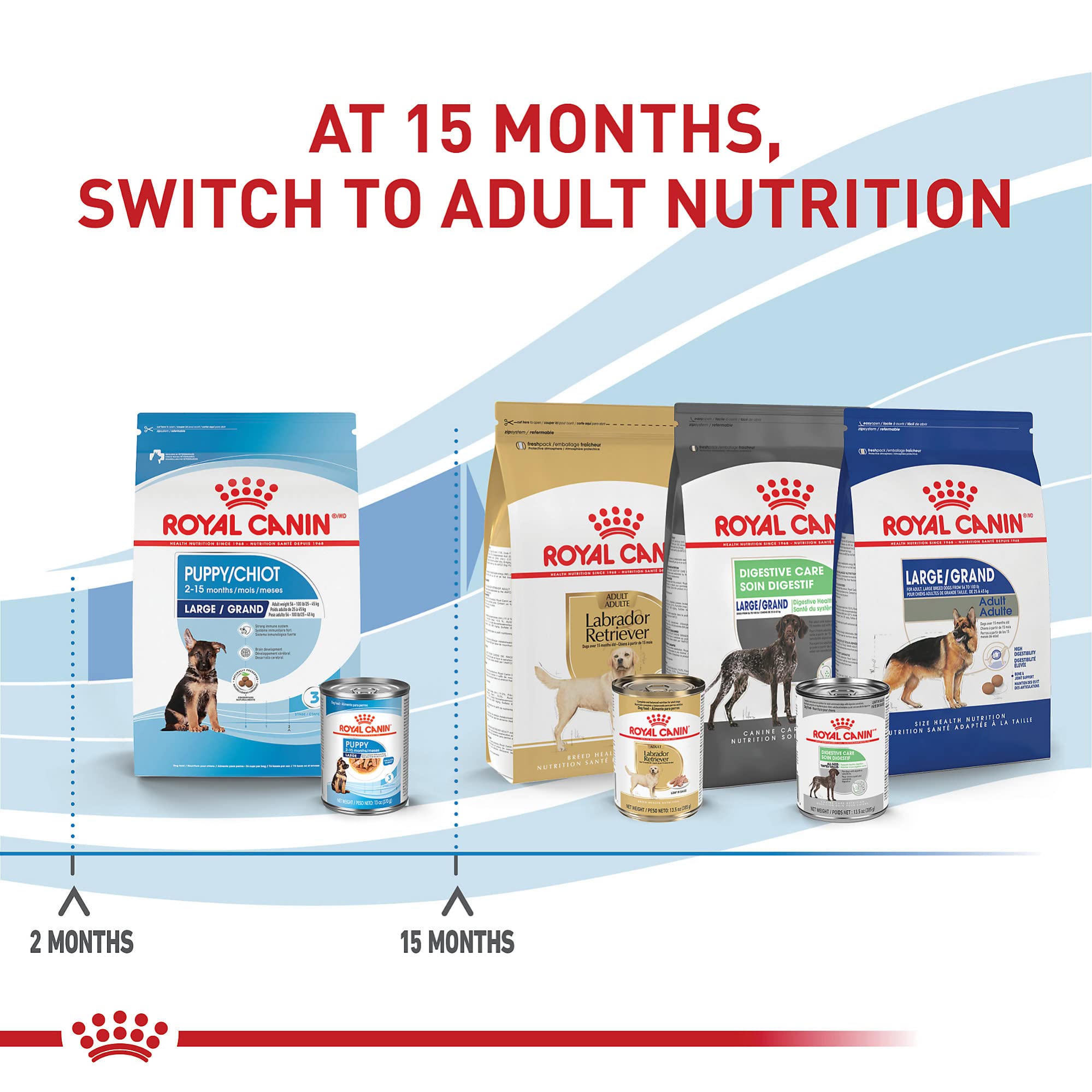 Foto 6 pulgar | Alimento Para Perros Royal Canin Size Health Nutrition Para Cachorros Grandes De 7,7 Kg - Venta Internacional.