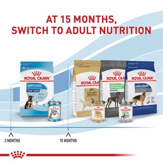 Foto 5 | Alimento Para Perros Royal Canin Size Health Nutrition Para Cachorros Grandes De 7,7 Kg - Venta Internacional.