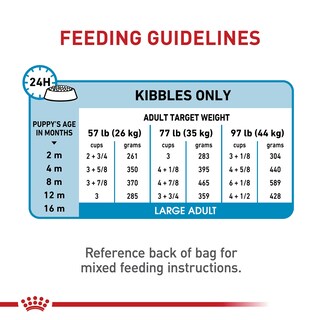 Foto 7 | Alimento Para Perros Royal Canin Size Health Nutrition Para Cachorros Grandes De 7,7 Kg - Venta Internacional.
