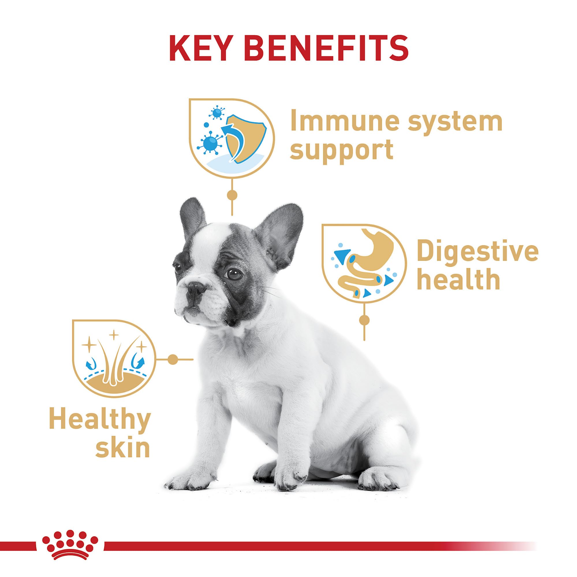 Foto 4 pulgar | Alimento Para Perros Royal Canin French Bulldog Puppy 4,76 Kg - Venta Internacional.