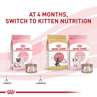 Foto 4 | Alimento Para Gatos Royal Canin Feline Health Mother & Babycat 1,4 Kg - Venta Internacional.