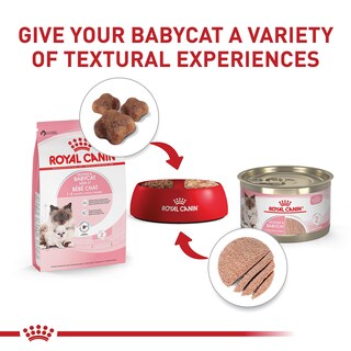 Foto 7 | Alimento Para Gatos Royal Canin Feline Health Mother & Babycat 1,4 Kg - Venta Internacional.