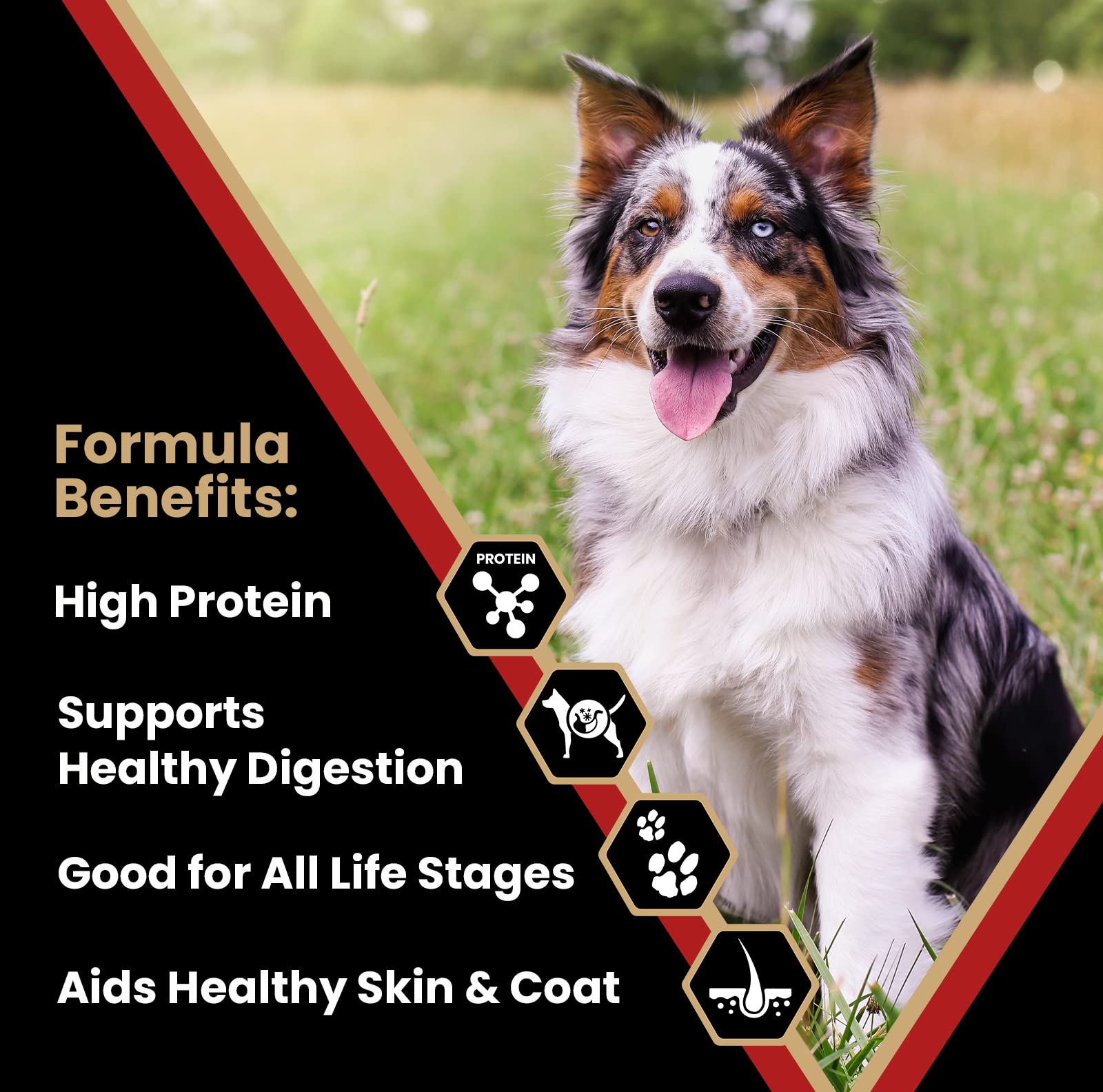 Foto 3 pulgar | Pienso Para Perros Victor Super Premium Nutra Pro 18,14 Kg - Venta Internacional.