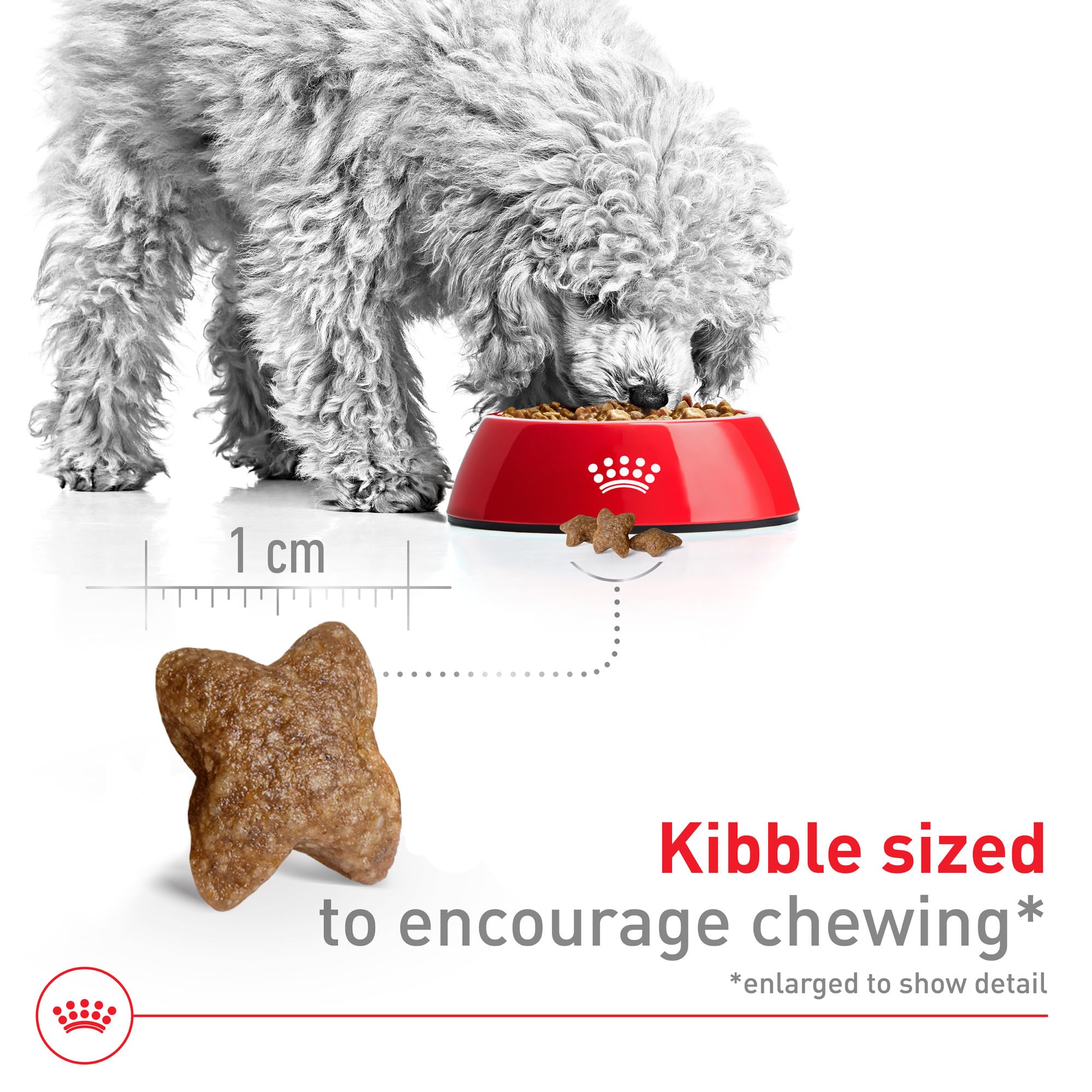 Foto 3 | Alimento Para Perros Royal Canin Size Health Small Adult 30 Libras - Venta Internacional.