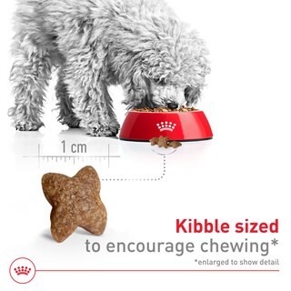 Foto 3 | Alimento Para Perros Royal Canin Size Health Small Adult 30 Libras - Venta Internacional.
