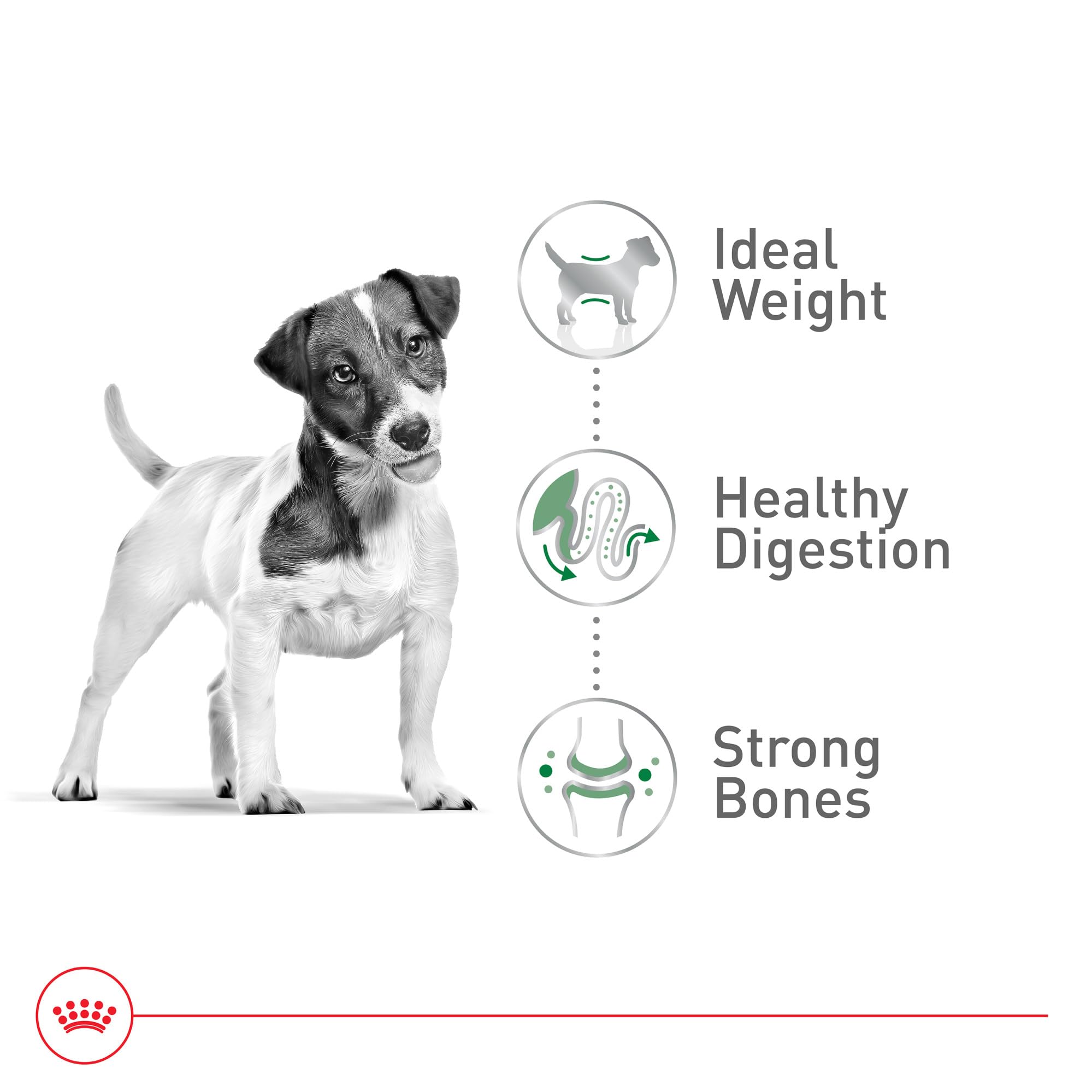 Foto 5 pulgar | Alimento Para Perros Royal Canin Size Health Small Adult 30 Libras - Venta Internacional.