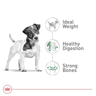 Foto 4 | Alimento Para Perros Royal Canin Size Health Small Adult 30 Libras - Venta Internacional.