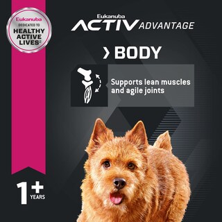 Foto 5 | Alimento Para Perros Eukanuba Para Adultos De Raza Pequeña De 12 Meses O Más, 10,89 Kg - Venta Internacional.