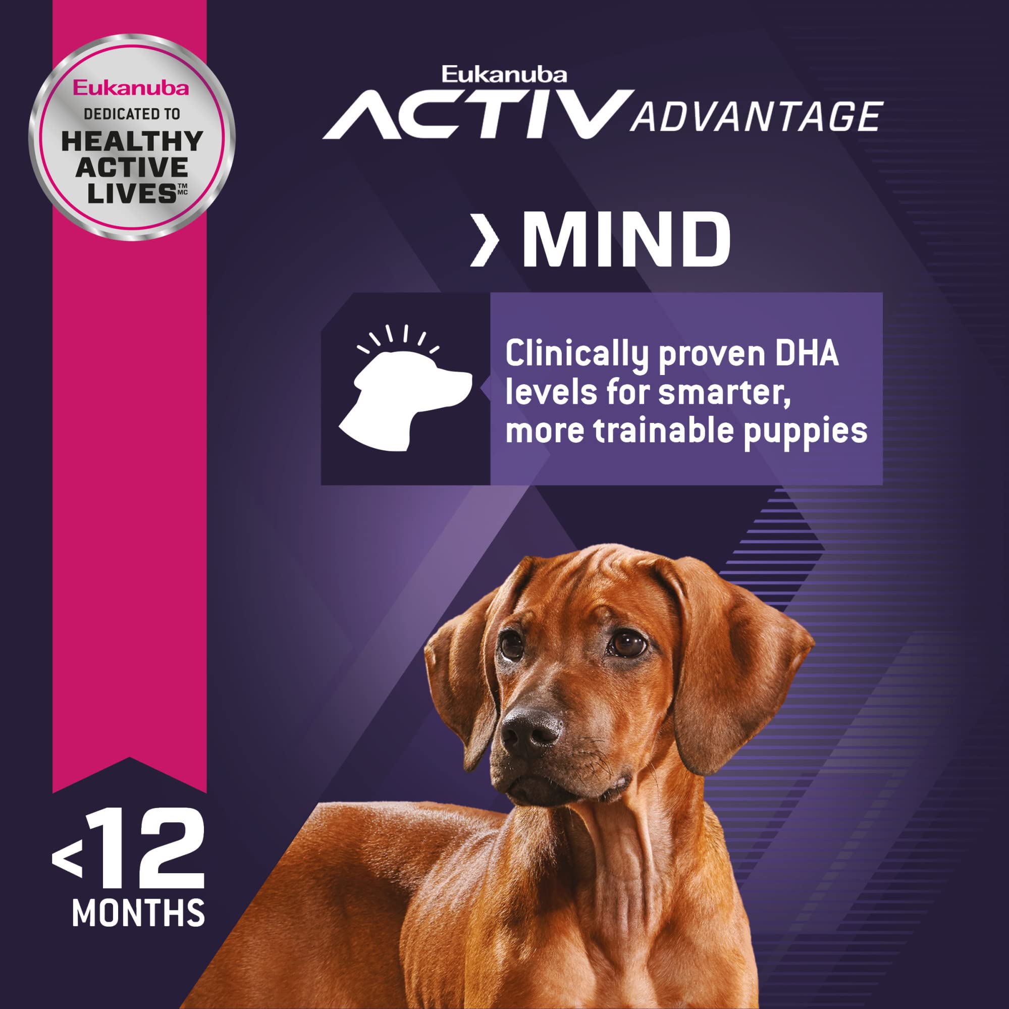 Foto 6 pulgar | Alimento Para Perros Eukanuba Puppy, Raza Grande, Seco, 18,14 Kg - Venta Internacional.