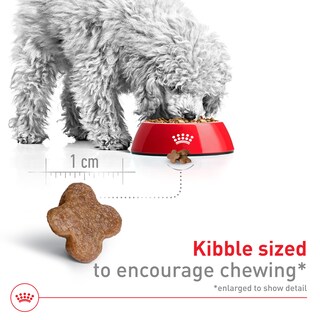 Foto 3 | Comida Para Perros Royal Canin, Tamaño Pequeño, Adulto, 8+ 6-10 Kg, Bolsa De 5,9-10 Kg - Venta Internacional.