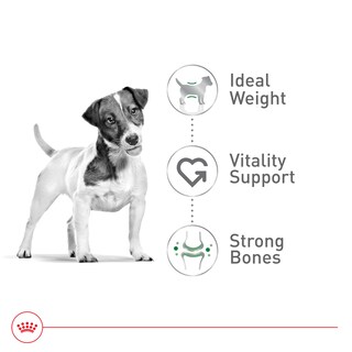 Foto 4 | Comida Para Perros Royal Canin, Tamaño Pequeño, Adulto, 8+ 6-10 Kg, Bolsa De 5,9-10 Kg - Venta Internacional.