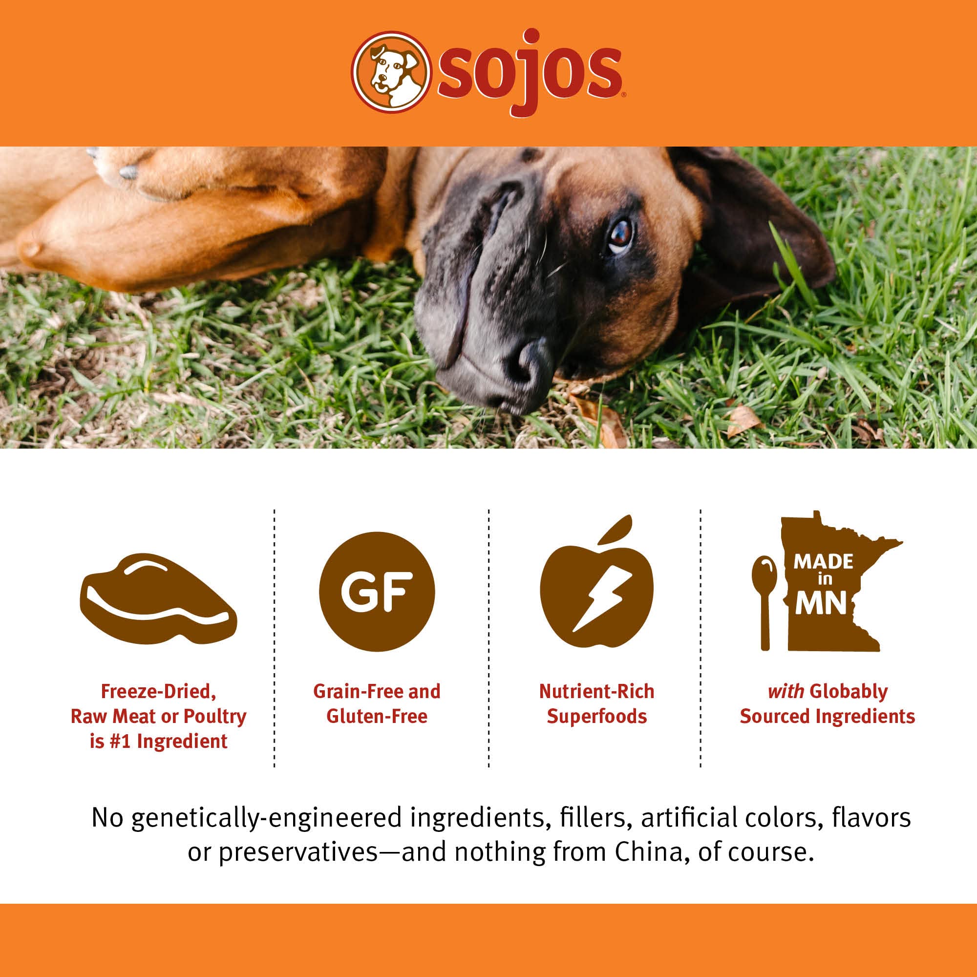Foto 6 pulgar | Alimento Para Perros Sojos Complete Turkey & Salmon Senior 3,18 Kg - Venta Internacional.