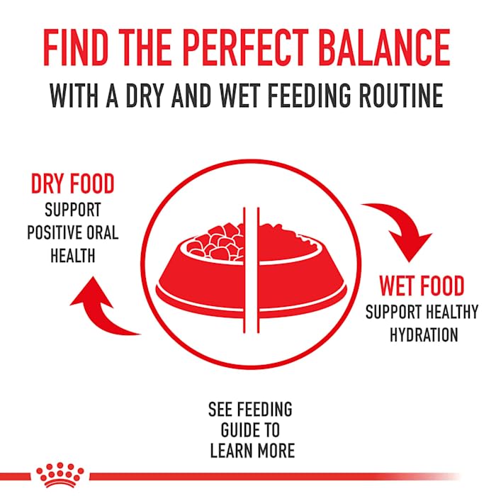Foto 3 | Alimento Para Perros Royal Canin Medium Digestive Care 7,7 Kg - Venta Internacional.