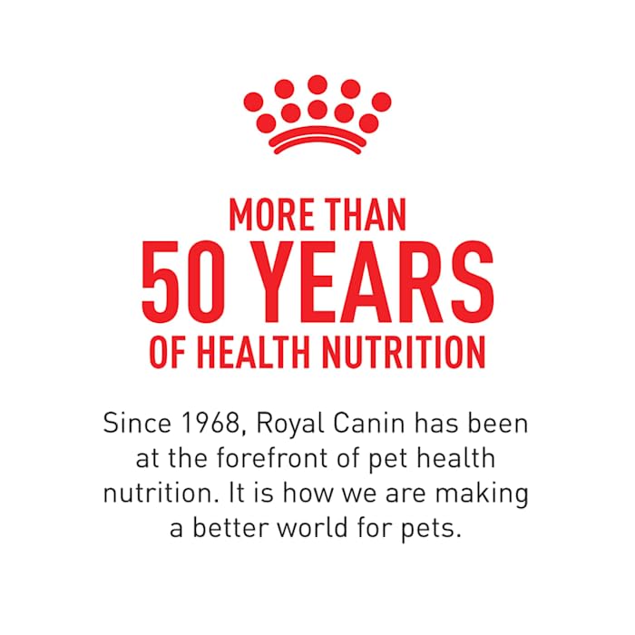 Foto 6 pulgar | Alimento Para Perros Royal Canin Medium Digestive Care 7,7 Kg - Venta Internacional.