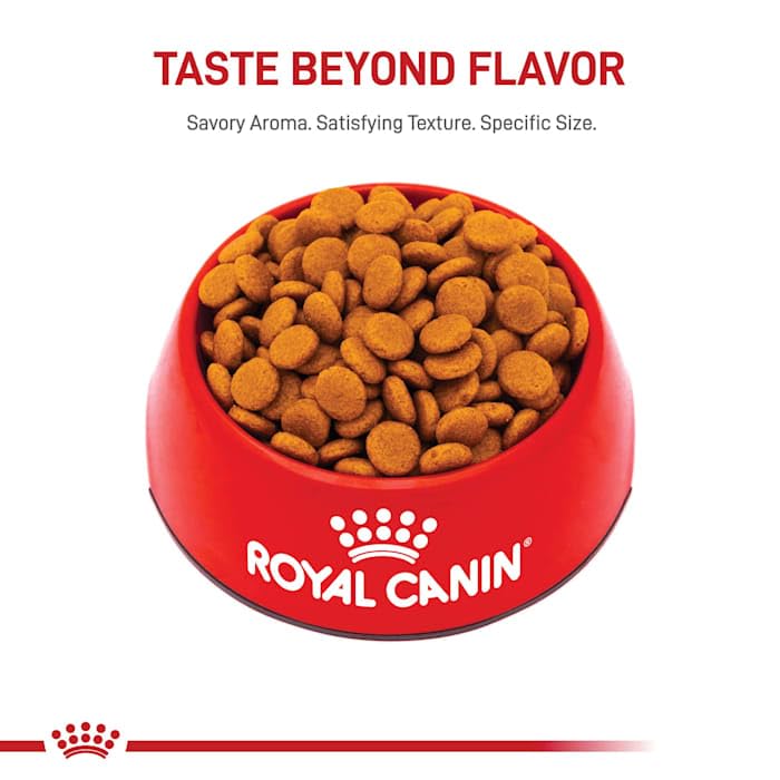 Foto 7 pulgar | Alimento Para Perros Royal Canin Medium Digestive Care 7,7 Kg - Venta Internacional.
