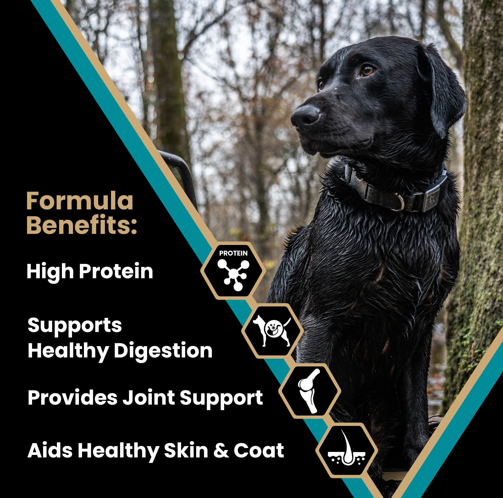 Foto 3 pulgar | Alimento Para Perros Victor Super Premium Realtree Max-5 Pro, 18,14 Kg, 30% De Proteínas, Sin Gluten - Venta Interna