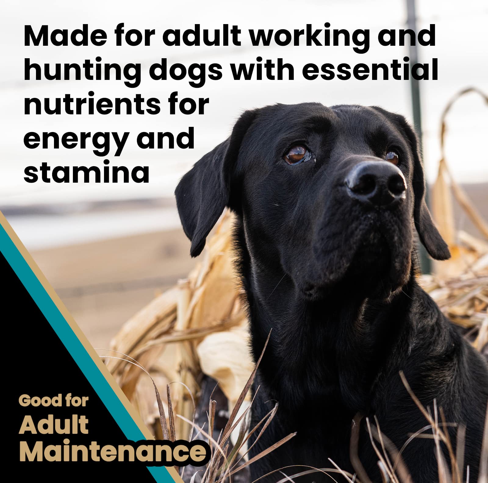 Foto 6 pulgar | Alimento Para Perros Victor Super Premium Realtree Max-5 Pro, 18,14 Kg, 30% De Proteínas, Sin Gluten - Venta Interna