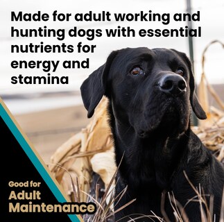 Foto 5 | Alimento Para Perros Victor Super Premium Realtree Max-5 Pro, 18,14 Kg, 30% De Proteínas, Sin Gluten - Venta Interna