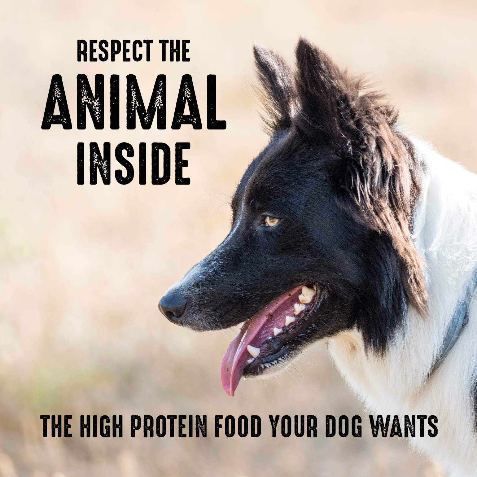 Foto 7 pulgar | Comida Para Perros Crave, Sin Cereales, Con Alto Contenido De Proteínas, 13,6 Kg - Venta Internacional.