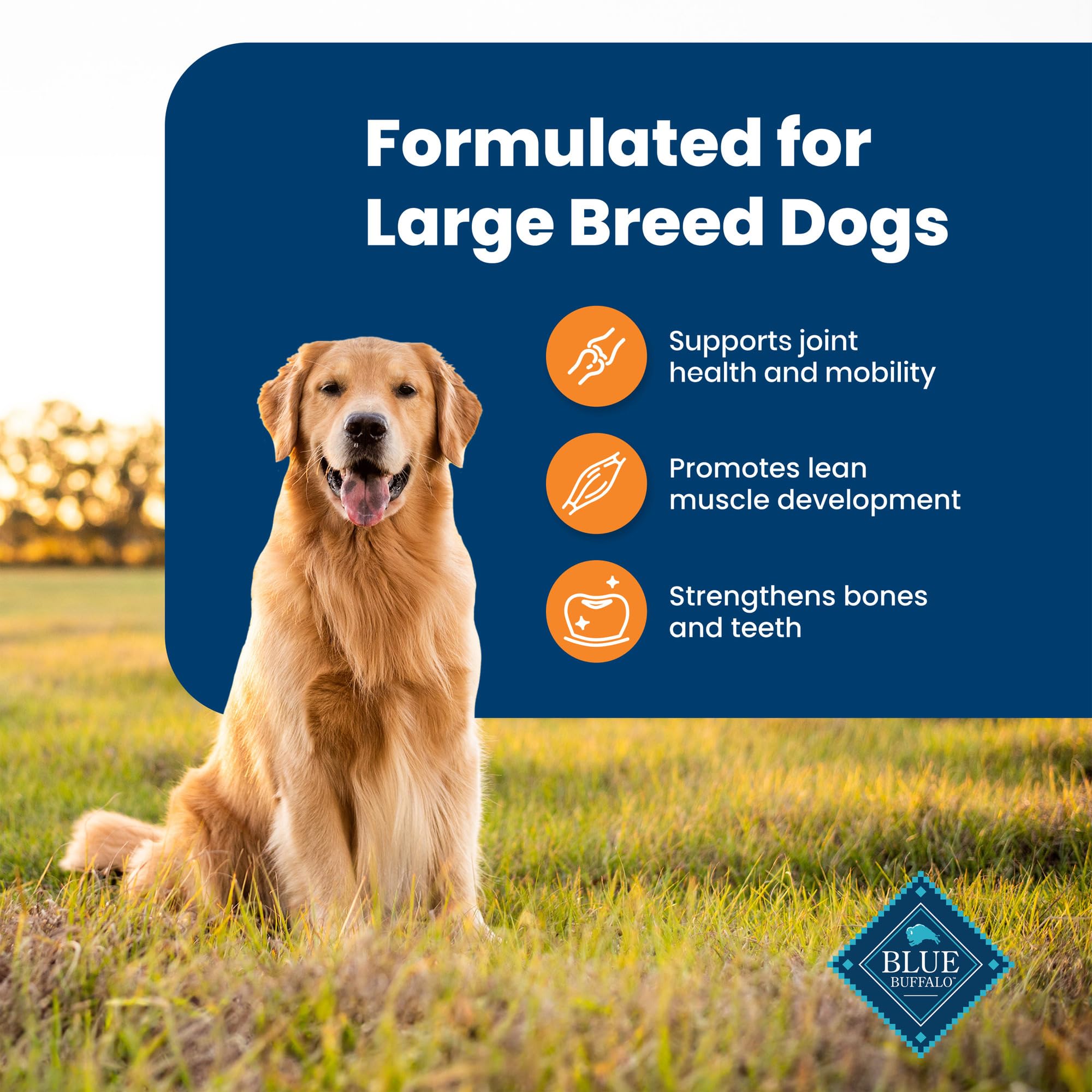 Foto 5 pulgar | Alimento Para Perros Blue Buffalo Life Protection, Raza Grande, 13,6 Kg - Venta Internacional.