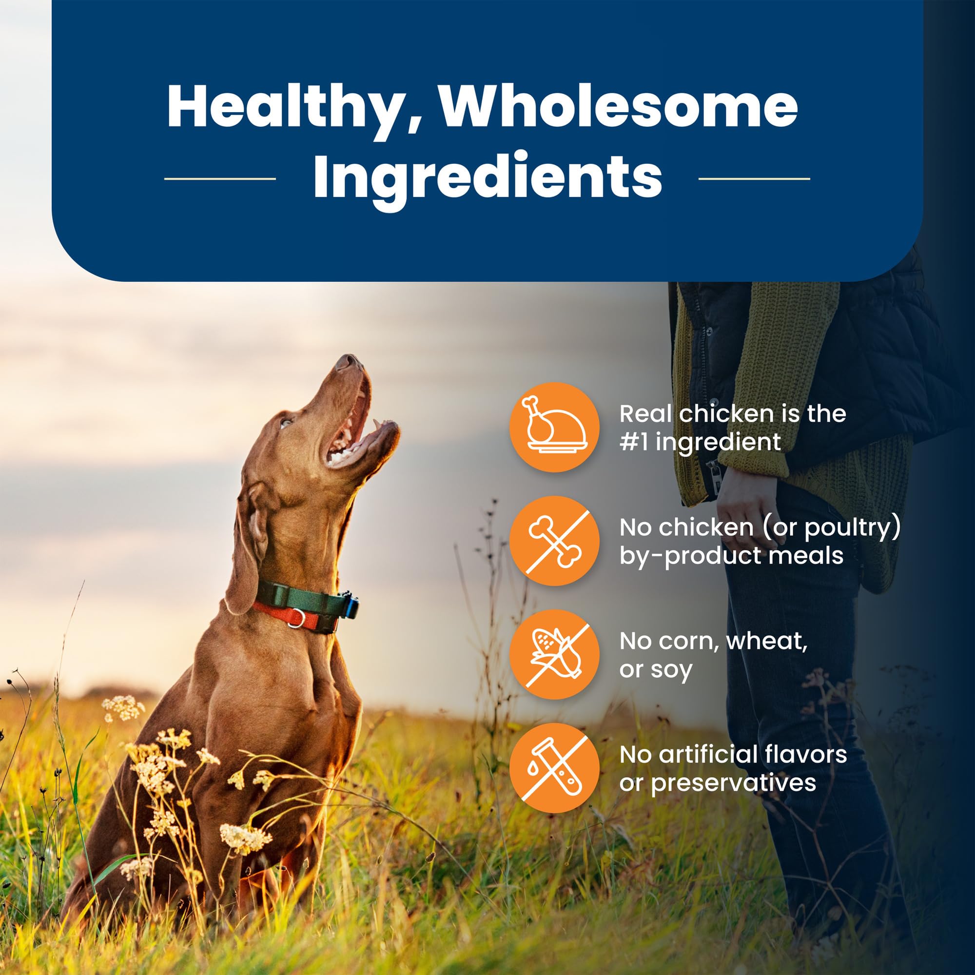Foto 7 pulgar | Alimento Para Perros Blue Buffalo Life Protection, Raza Grande, 13,6 Kg - Venta Internacional.