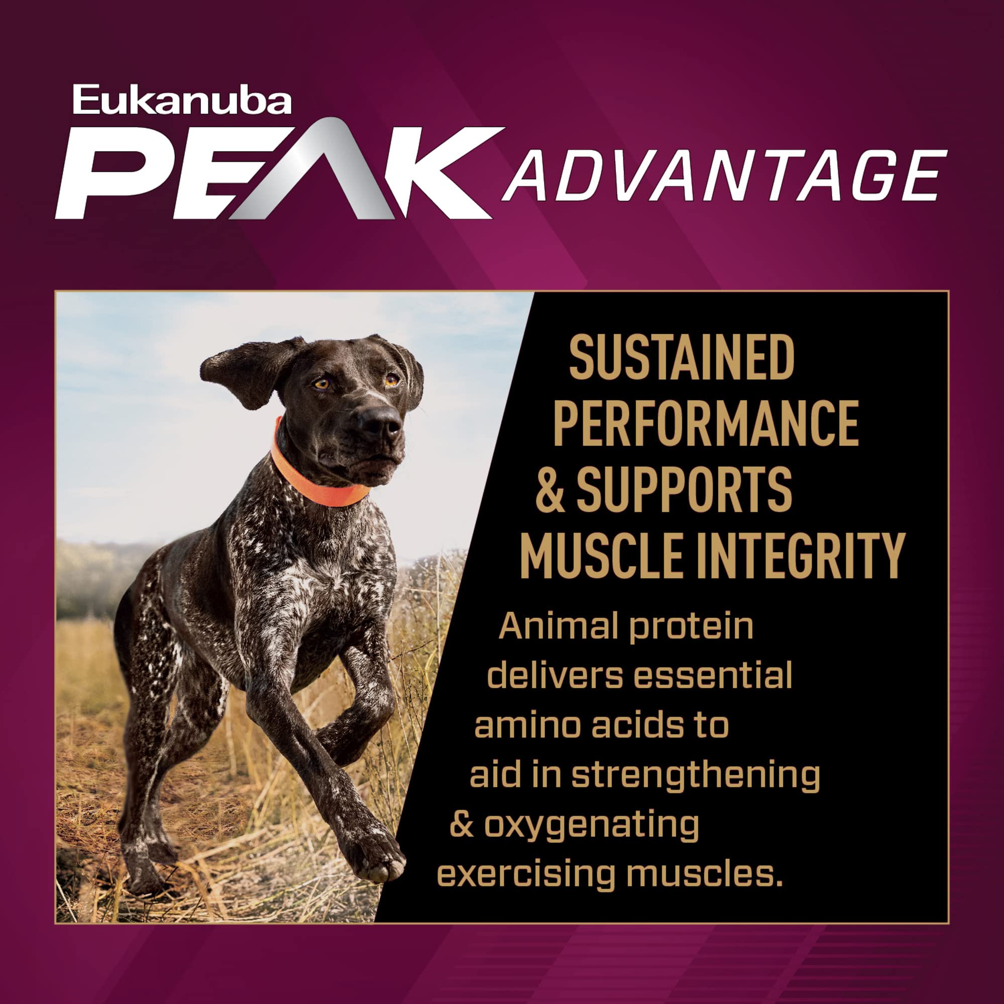 Foto 5 pulgar | Pienso Seco Para Perros Eukanuba Premium Performance 30/20 Sport 12,7 Kg - Venta Internacional.