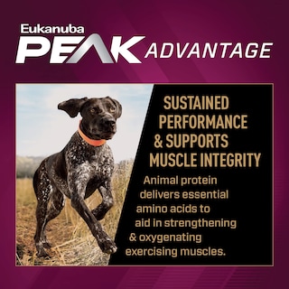Foto 4 | Pienso Seco Para Perros Eukanuba Premium Performance 30/20 Sport 12,7 Kg - Venta Internacional.