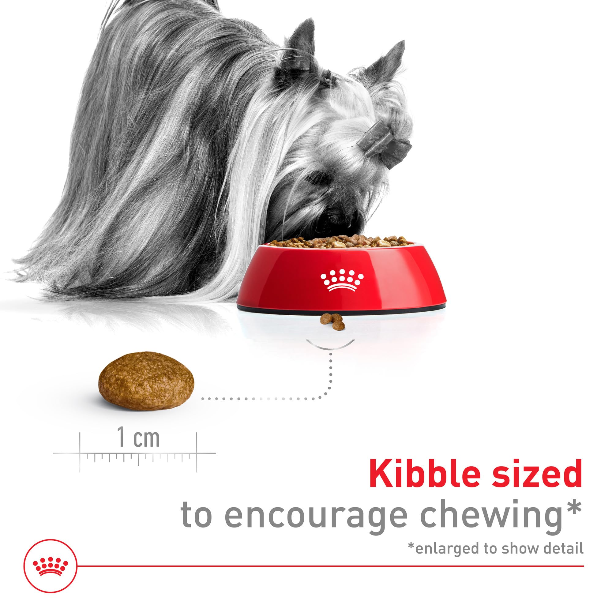 Foto 3 | Comida Para Perros Royal Canin X-small Para Adultos, Bolsa De 14 Libras - Venta Internacional.