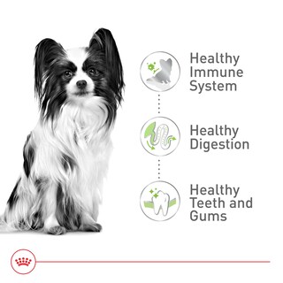 Foto 4 | Comida Para Perros Royal Canin X-small Para Adultos, Bolsa De 14 Libras - Venta Internacional.
