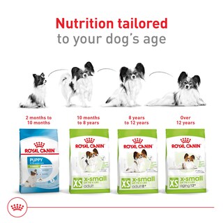 Foto 6 | Comida Para Perros Royal Canin X-small Para Adultos, Bolsa De 14 Libras - Venta Internacional.