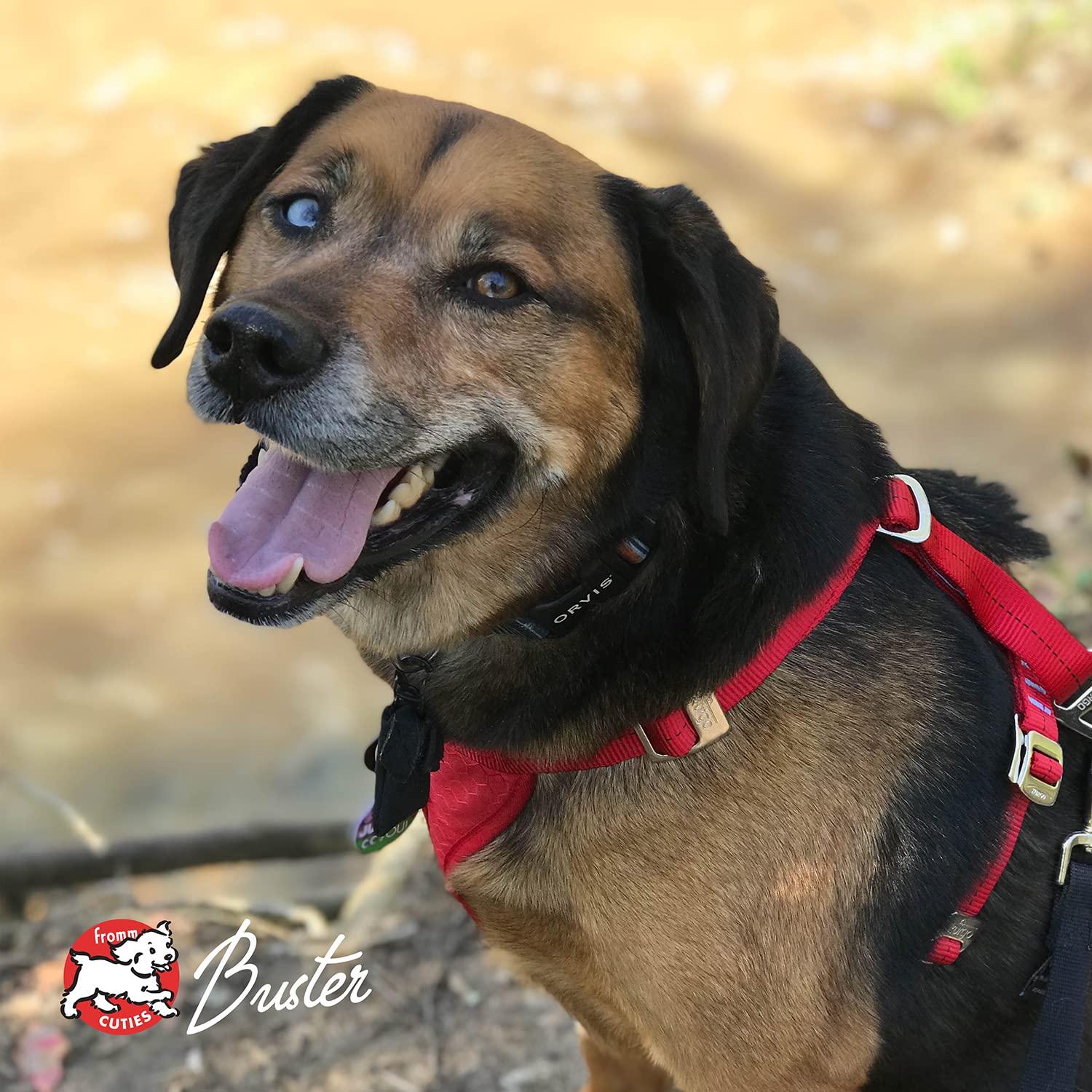 Foto 6 pulgar | Comida Para Perros De Raza Grande Para Controlar El Peso, 13,6 Kg, Pavo - Venta Internacional.