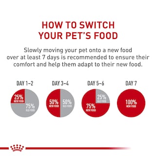 Foto 4 | Alimento Seco Para Perros Royal Canin Yorkshire Terrier Adulto 8+ 2 Kg - Venta Internacional.