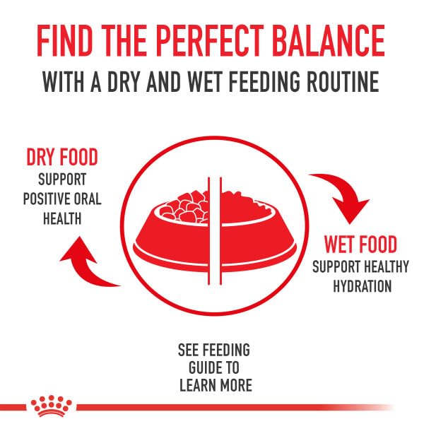 Foto 6 pulgar | Alimento Para Perros Royal Canin Bichon Frise Para Adultos, 4,5 Kg - Venta Internacional.