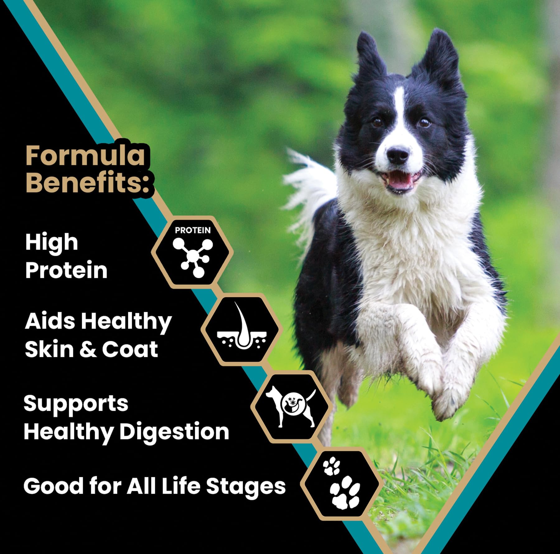 Foto 3 pulgar | Alimento Para Perros Victor Super Premium Hi-pro Plus, 13,6 Kg, 30% De Proteína - Venta Internacional.