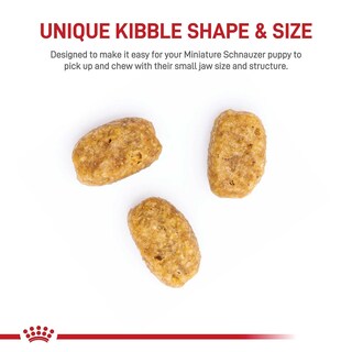 Foto 2 | Alimento Para Perros Royal Canin Breed Health Nutrition Para Cachorros De Schnauzer En Miniatura, 1,1 Kg - Venta