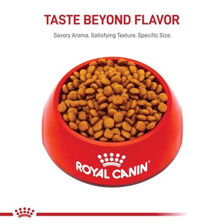Foto 5 | Alimento Para Perros Royal Canin Breed Health Nutrition Para Cachorros De Schnauzer En Miniatura, 1,1 Kg - Venta