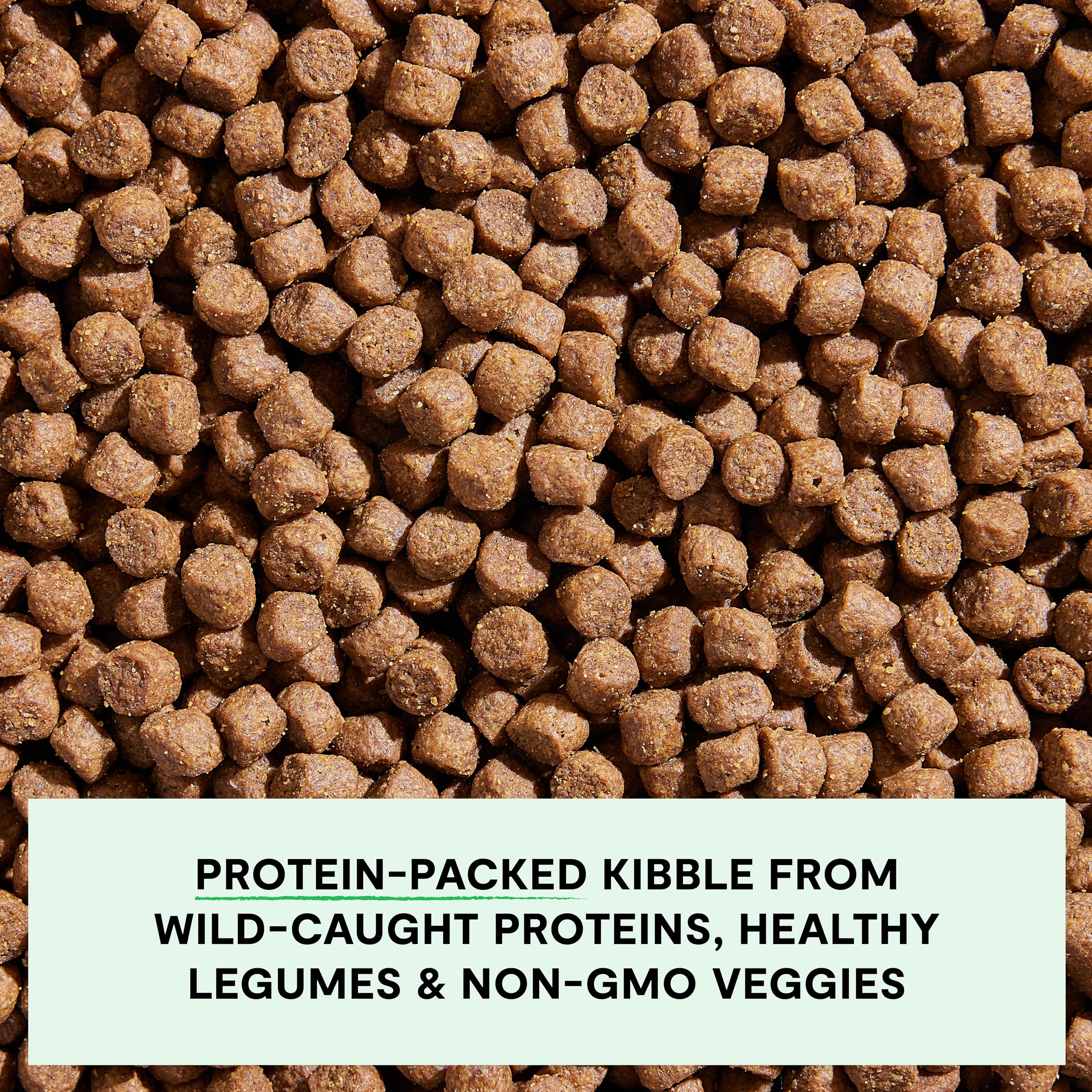 Foto 5 pulgar | Alimento Para Perros Open Farm, Salmón Silvestre Sin Cereales, 5 Kg - Venta Internacional.