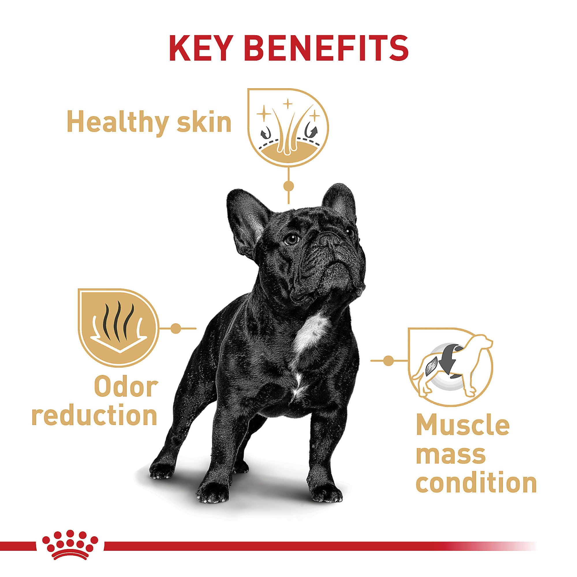 Foto 3 | Alimento Para Perros Royal Canin French Bulldog Adulto 13,6 Kg - Venta Internacional.