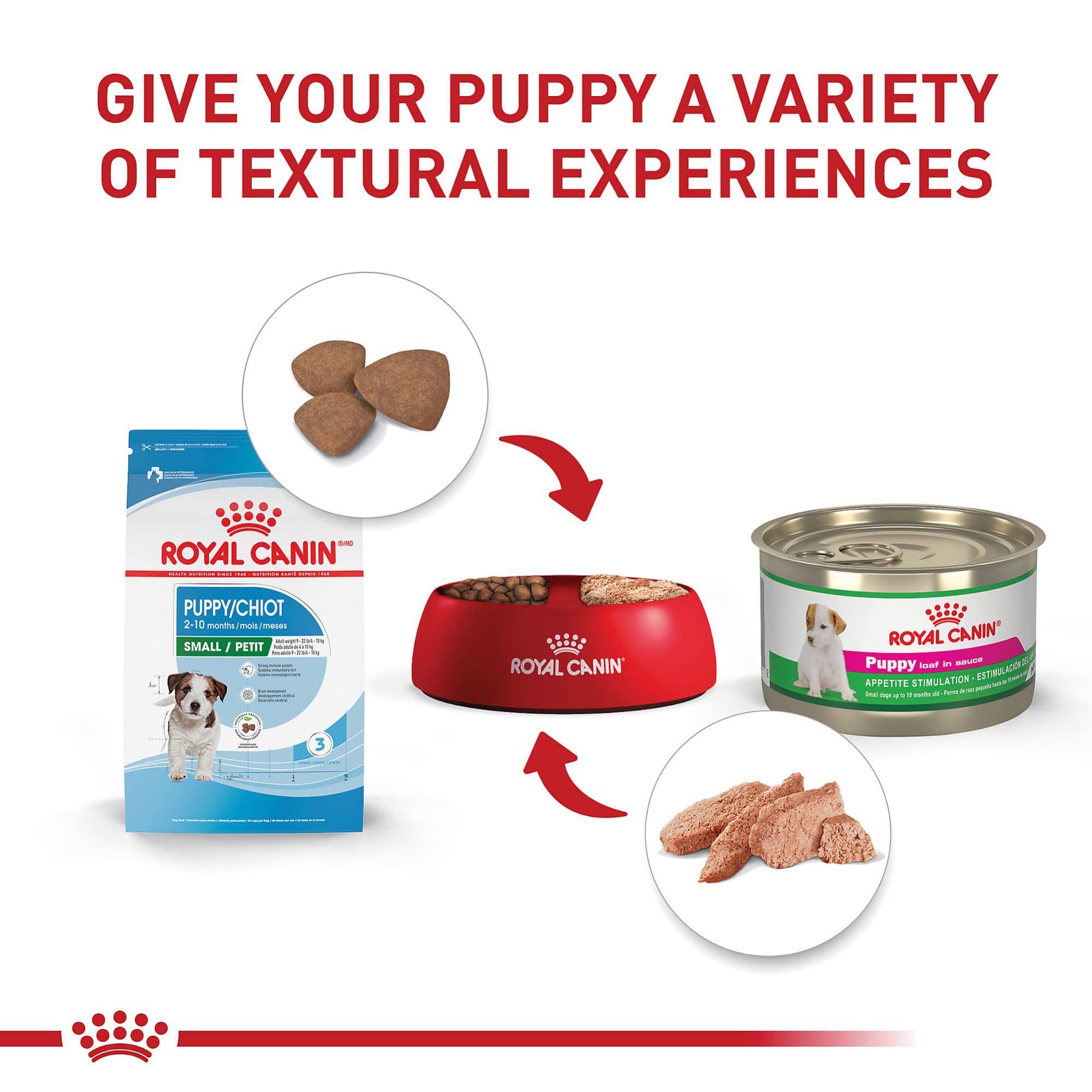 Foto 5 pulgar | Alimento Seco Para Cachorros Royal Canin Size Health, Raza Pequeña, 6,35 Kg - Venta Internacional.