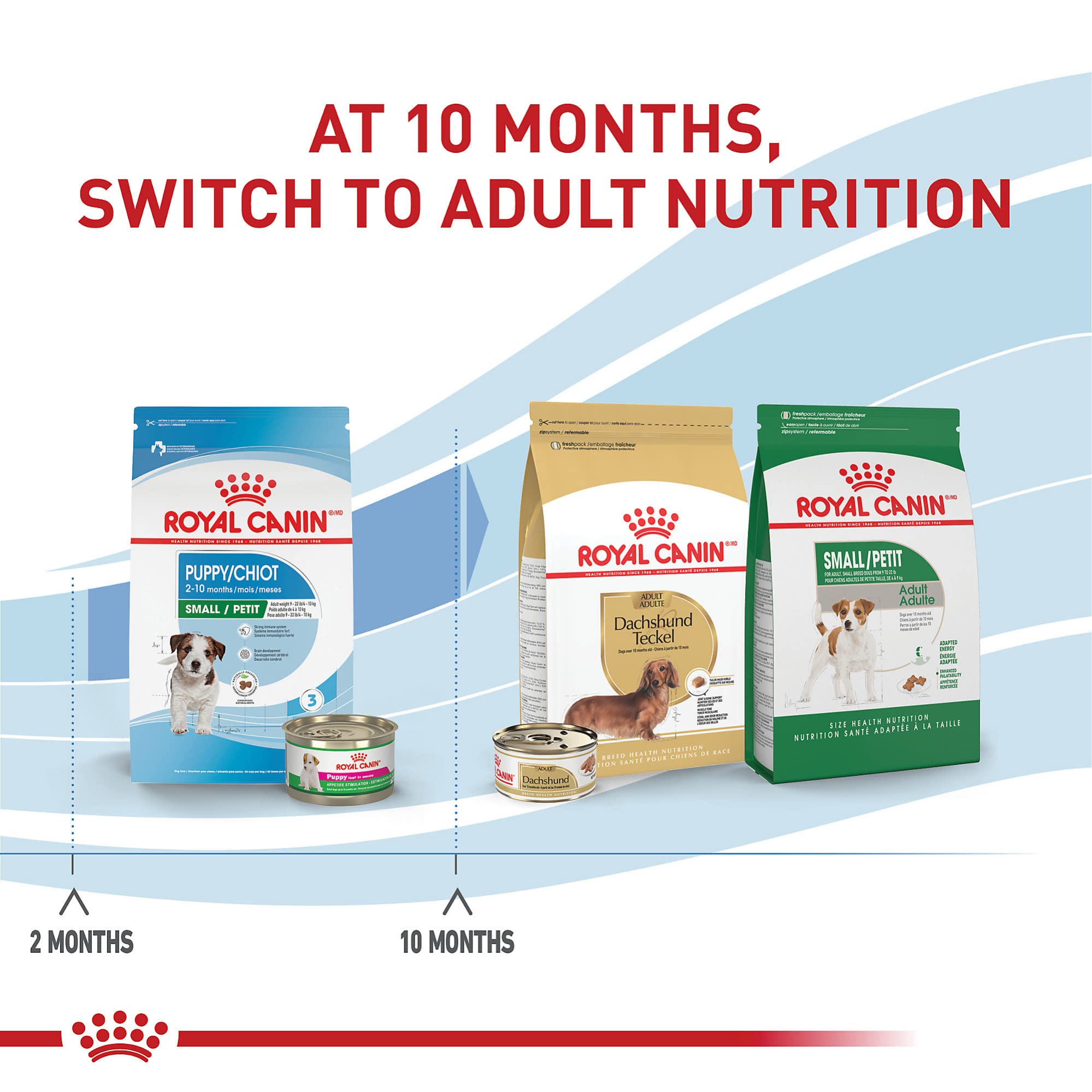 Foto 6 pulgar | Alimento Seco Para Cachorros Royal Canin Size Health, Raza Pequeña, 6,35 Kg - Venta Internacional.