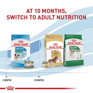 Foto 5 | Alimento Seco Para Cachorros Royal Canin Size Health, Raza Pequeña, 6,35 Kg - Venta Internacional.