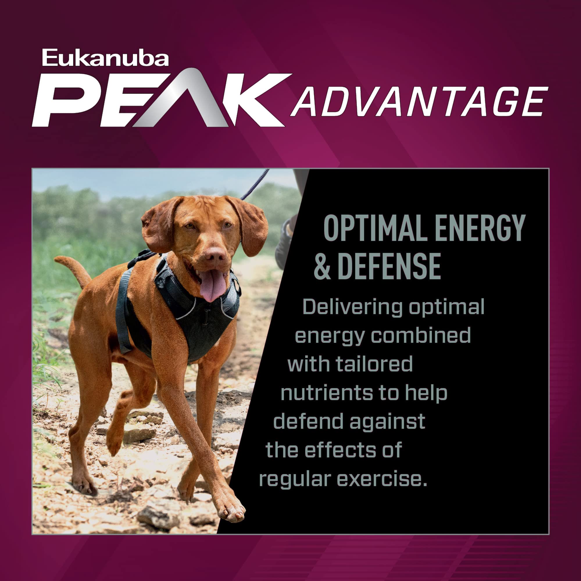 Foto 4 | Alimento Seco Para Perros Eukanuba Premium Performance 26/16 En Bolsa De 12,7 Kg - Venta Internacional.