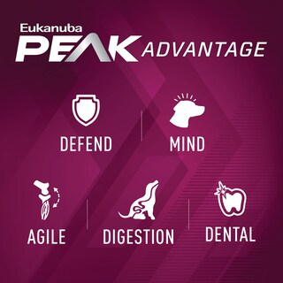 Foto 5 | Alimento Seco Para Perros Eukanuba Premium Performance 26/16 En Bolsa De 12,7 Kg - Venta Internacional.