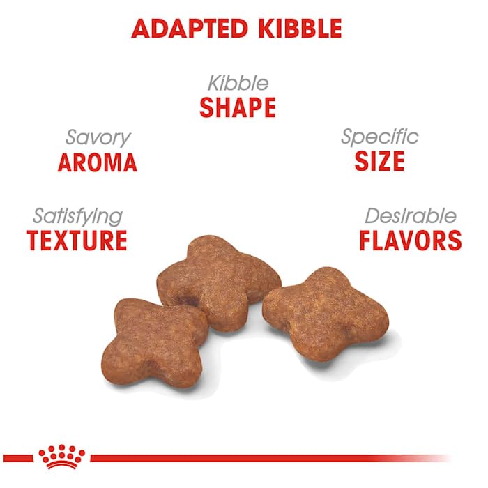 Foto 5 pulgar | Comida Para Perros Royal Canin, Tamaño Pequeño, Adulto, 8+, 1,1-10 Kg, Bolsa De 1,13 Kg - Venta Internacional.