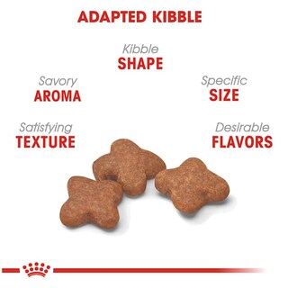 Foto 4 | Comida Para Perros Royal Canin, Tamaño Pequeño, Adulto, 8+, 1,1-10 Kg, Bolsa De 1,13 Kg - Venta Internacional.
