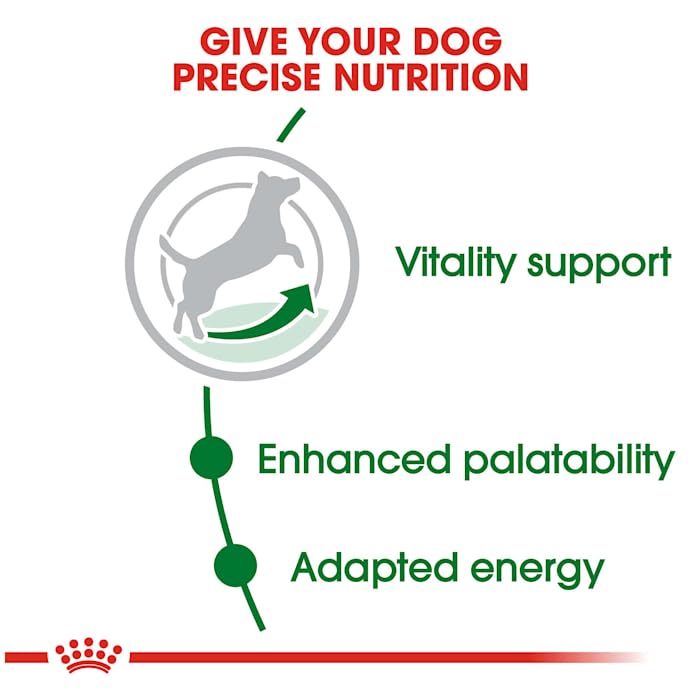Foto 6 pulgar | Comida Para Perros Royal Canin, Tamaño Pequeño, Adulto, 8+, 1,1-10 Kg, Bolsa De 1,13 Kg - Venta Internacional.