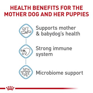 Foto 3 | Comida Para Perros Royal Canin Size Health Small Starter, Bolsa De 1,1 Kg - Venta Internacional.