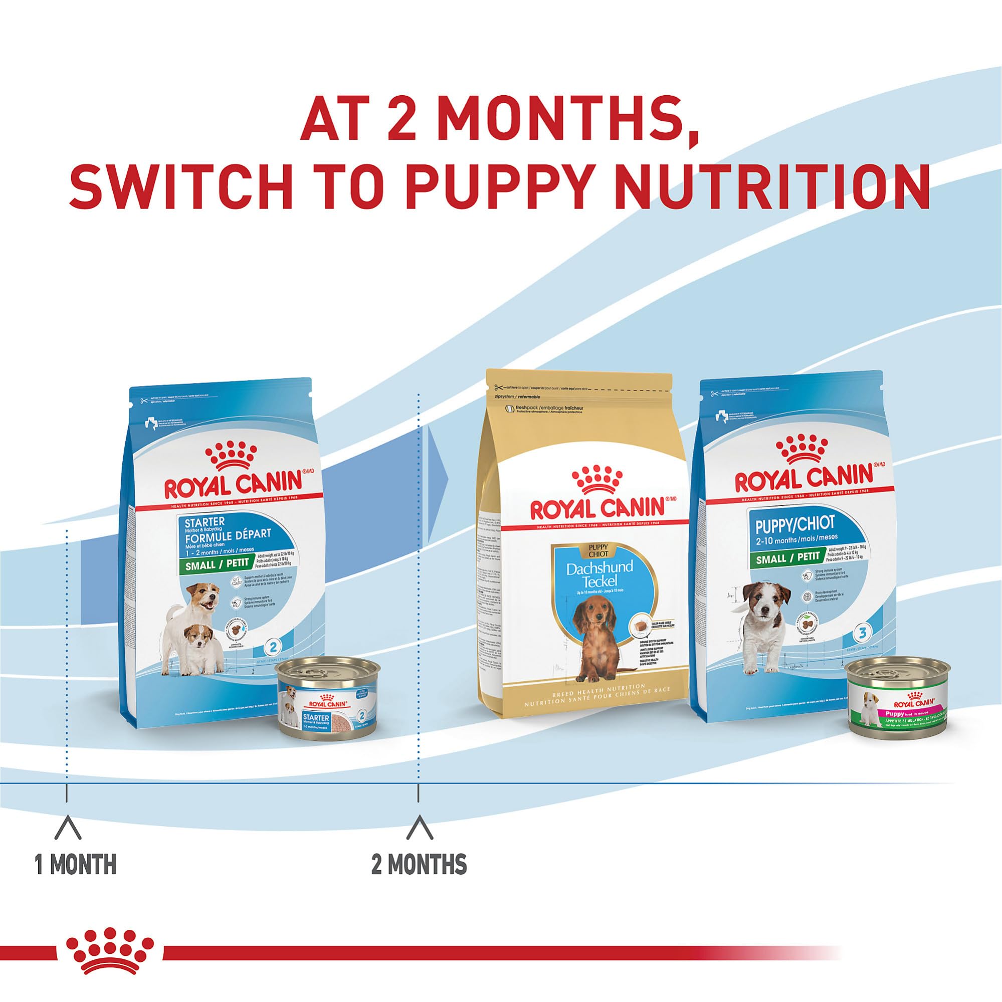 Foto 5 | Comida Para Perros Royal Canin Size Health Small Starter, Bolsa De 1,1 Kg - Venta Internacional.