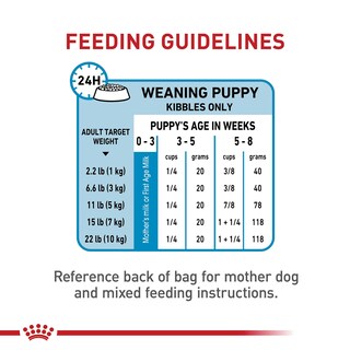 Foto 7 | Comida Para Perros Royal Canin Size Health Small Starter, Bolsa De 1,1 Kg - Venta Internacional.