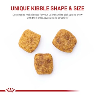 Foto 2 | Alimento Para Perros Royal Canin Dachshund, Raza Adulta, 1,1 Kg - Venta Internacional.